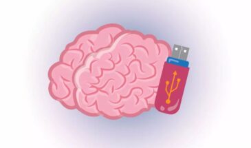 Долговременная память: техники интерливинга, интервального повторения и спейсинга в школе